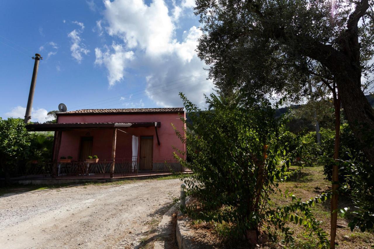 Agricontura Pensionat Capri Leone Exteriör bild